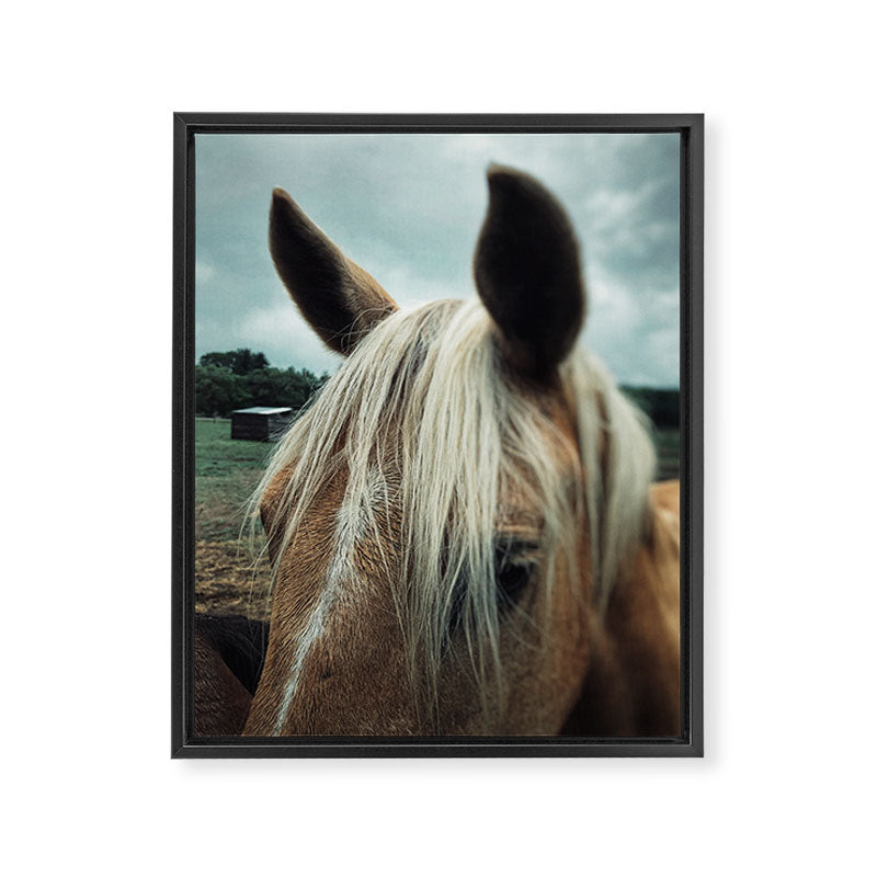 Talulah Framed Canvas Print Gallery Image 6
