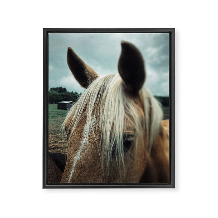 Talulah Framed Canvas Print Gallery Image 1