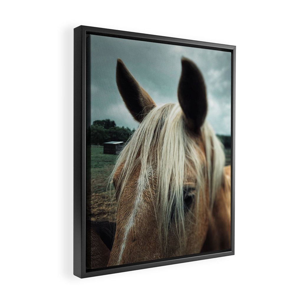 Talulah Framed Canvas Print Gallery Image 2