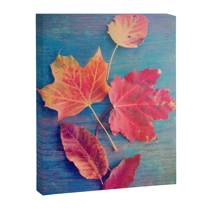 The Colors of Autumn Canvas Print Gallery Image 1