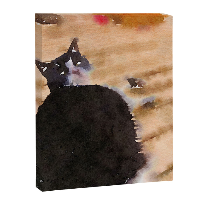 the life of a cat Canvas Print Gallery Image 1
