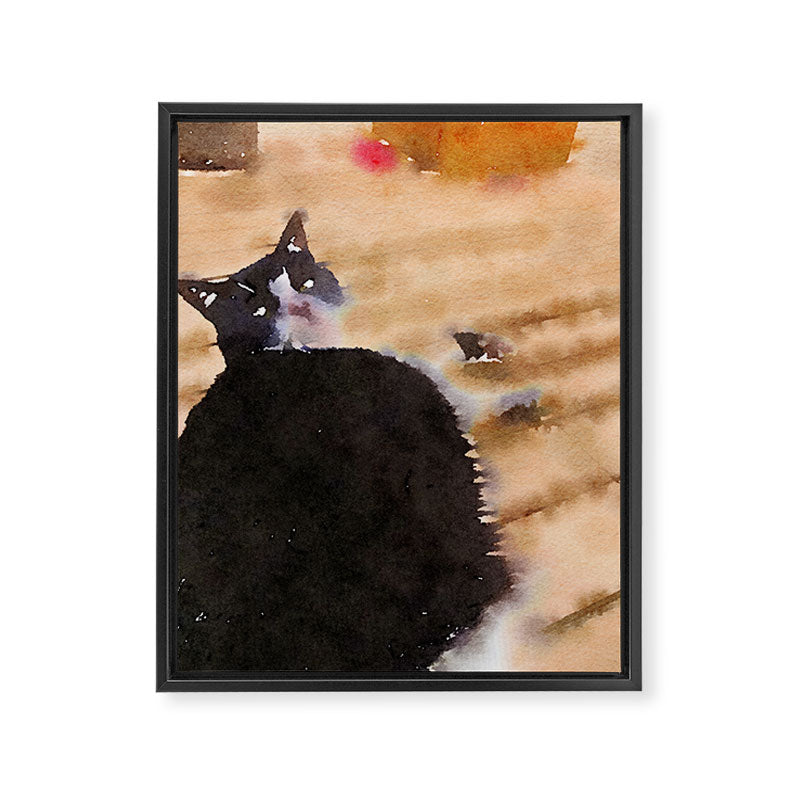 the life of a cat Framed Canvas Print Gallery Image 6