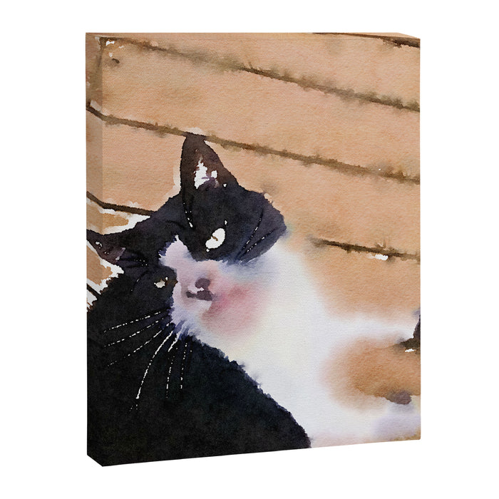 the life of a tuxedo cat Canvas Print Gallery Image 1