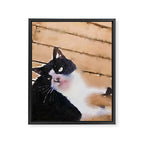 the life of a tuxedo cat Framed Canvas Print Gallery Image 6