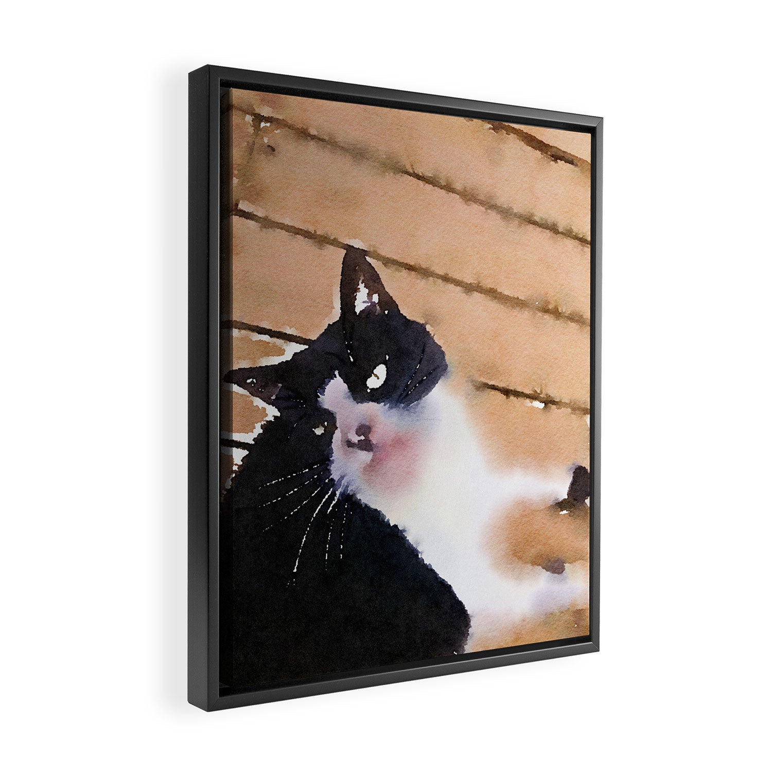 the life of a tuxedo cat Framed Canvas Print Gallery Image 2