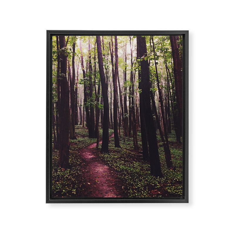 The Paths of Life Wander and Turn Framed Canvas Print Gallery Image 6