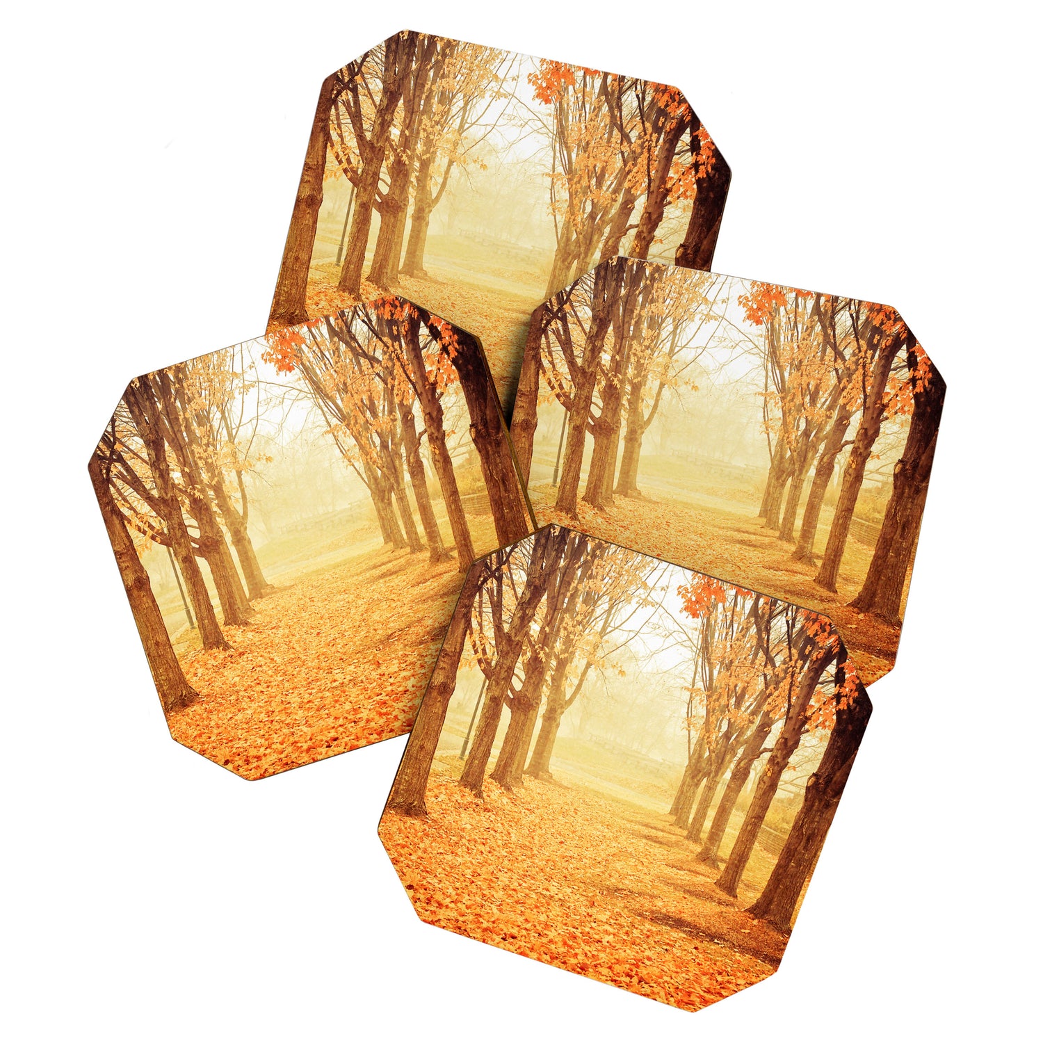 The Poetry of Autumn Coaster Gallery Image 1