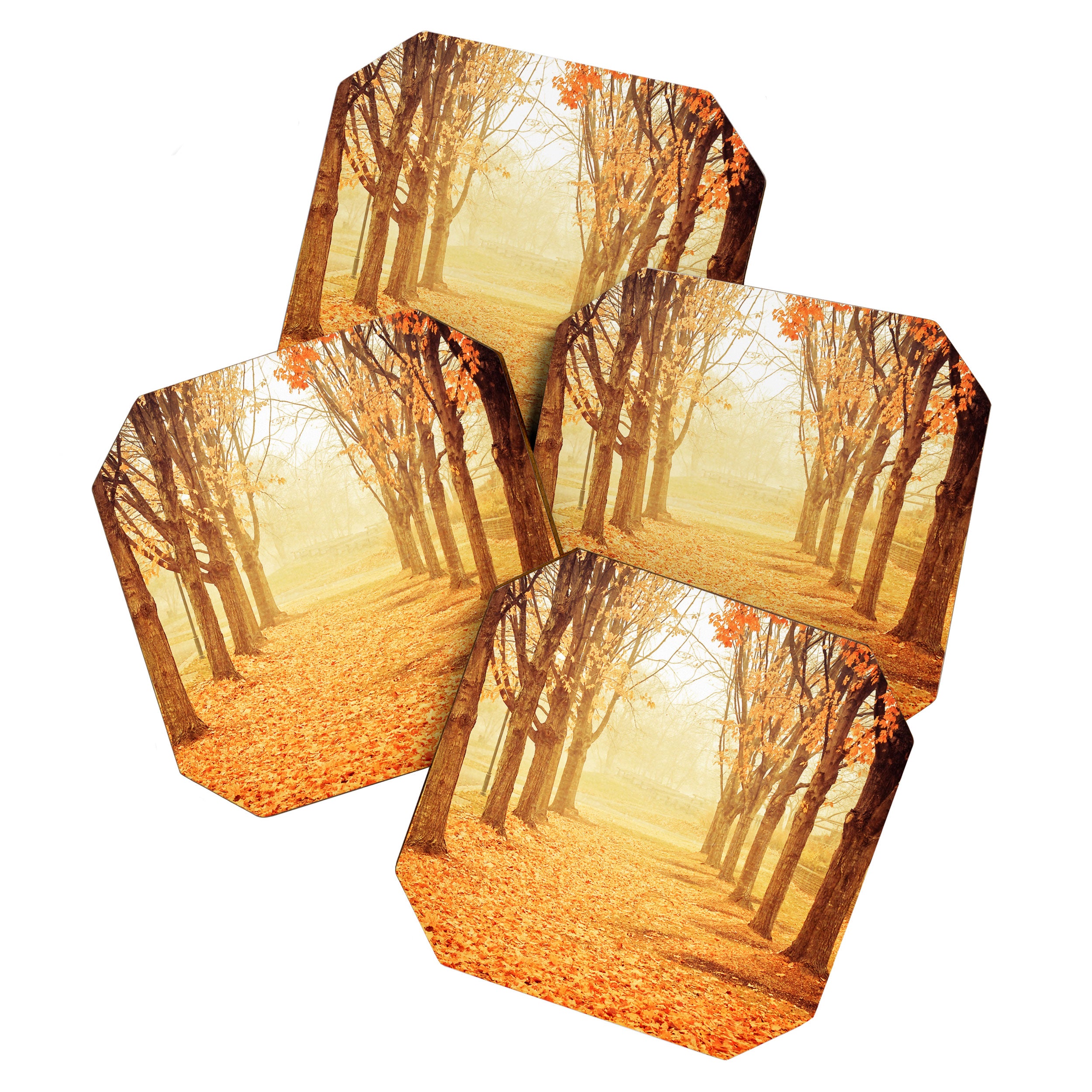 The Poetry of Autumn Coaster Gallery Image 1