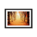 The Poetry of Autumn Framed Art Print Gallery Image 2