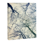 The Sky Above Canvas Print Gallery Image 6