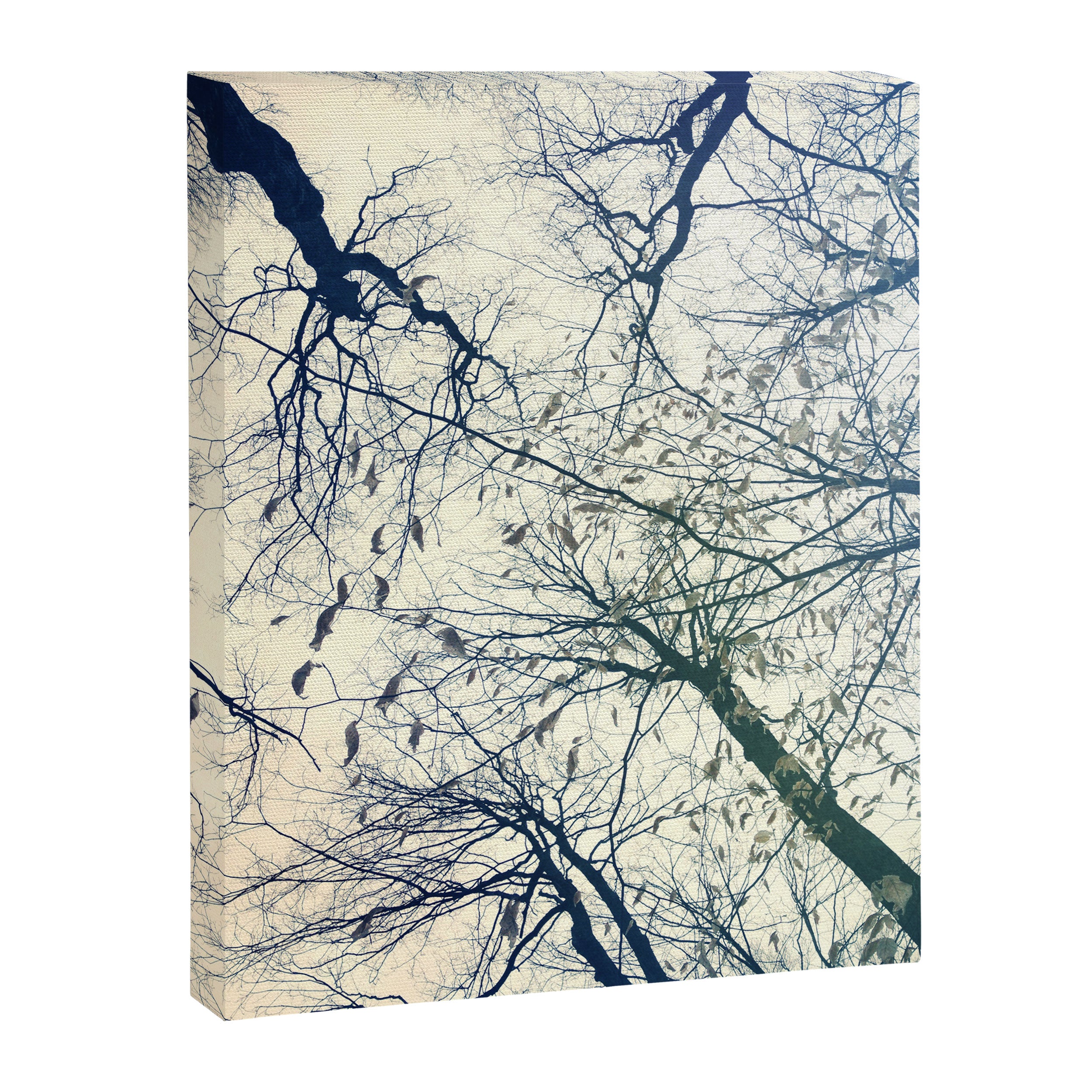 The Sky Above Canvas Print Gallery Image 6