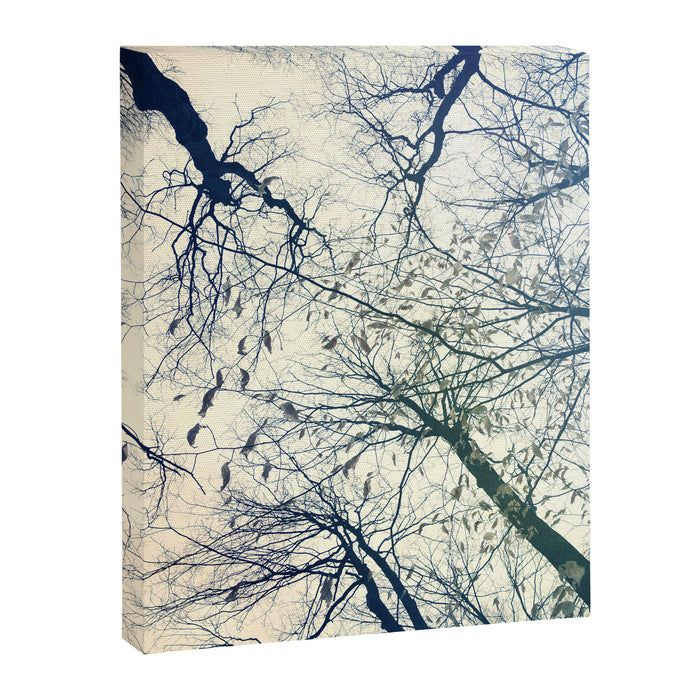 The Sky Above Canvas Print Gallery Image 1