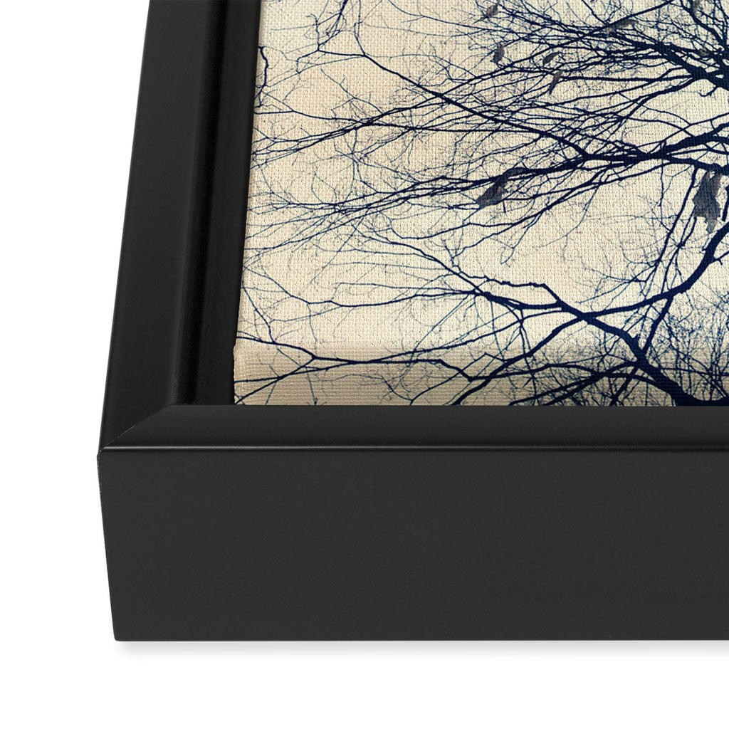 The Sky Above Framed Canvas Print Gallery Image 3