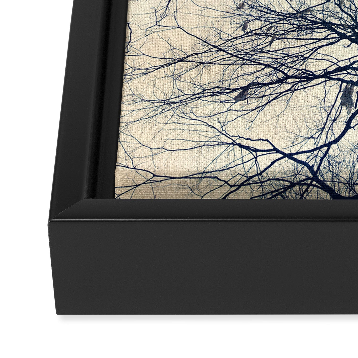 The Sky Above Framed Canvas Print Gallery Image 3