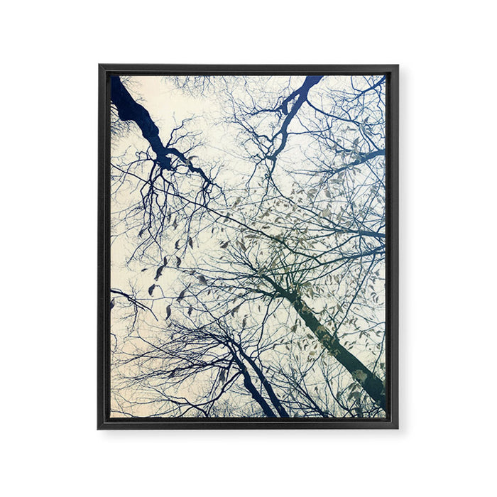 The Sky Above Framed Canvas Print Gallery Image 1