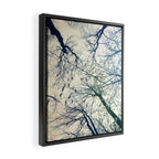 The Sky Above Framed Canvas Print Gallery Image 2
