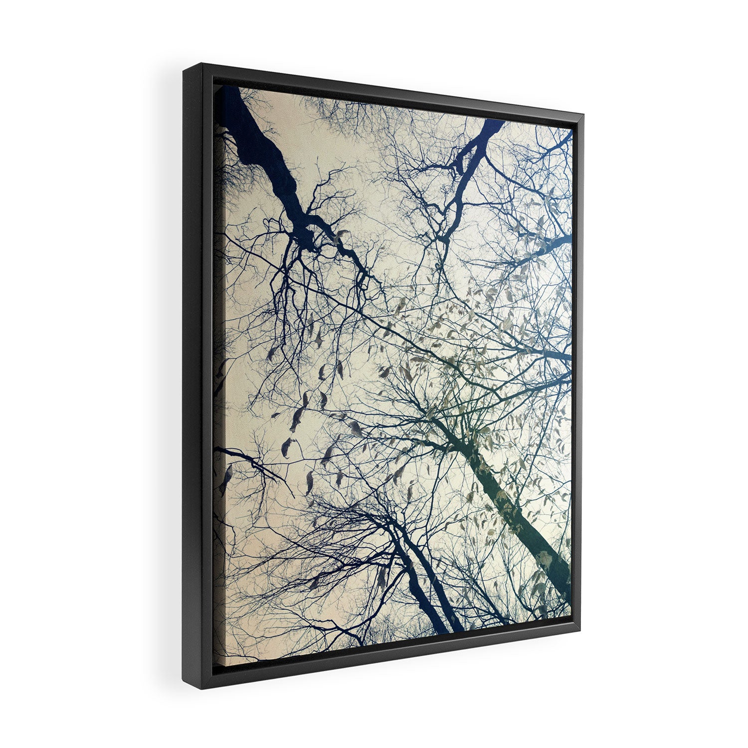 The Sky Above Framed Canvas Print Gallery Image 2