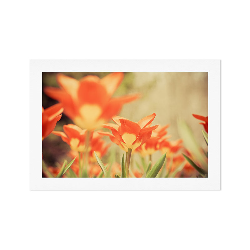 The View From Down Under Art Print Gallery Image 1