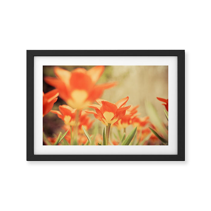 The View From Down Under Framed Art Print Gallery Image 1