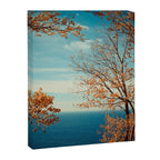 The View From the Top Canvas Print Gallery Image 8