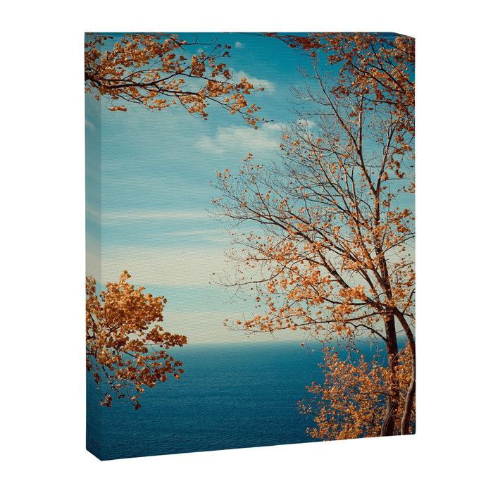 The View From the Top Canvas Print Gallery Image 1