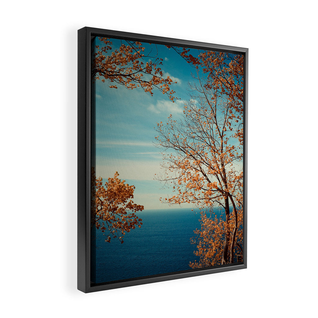 The View From the Top Framed Canvas Print Gallery Image 2