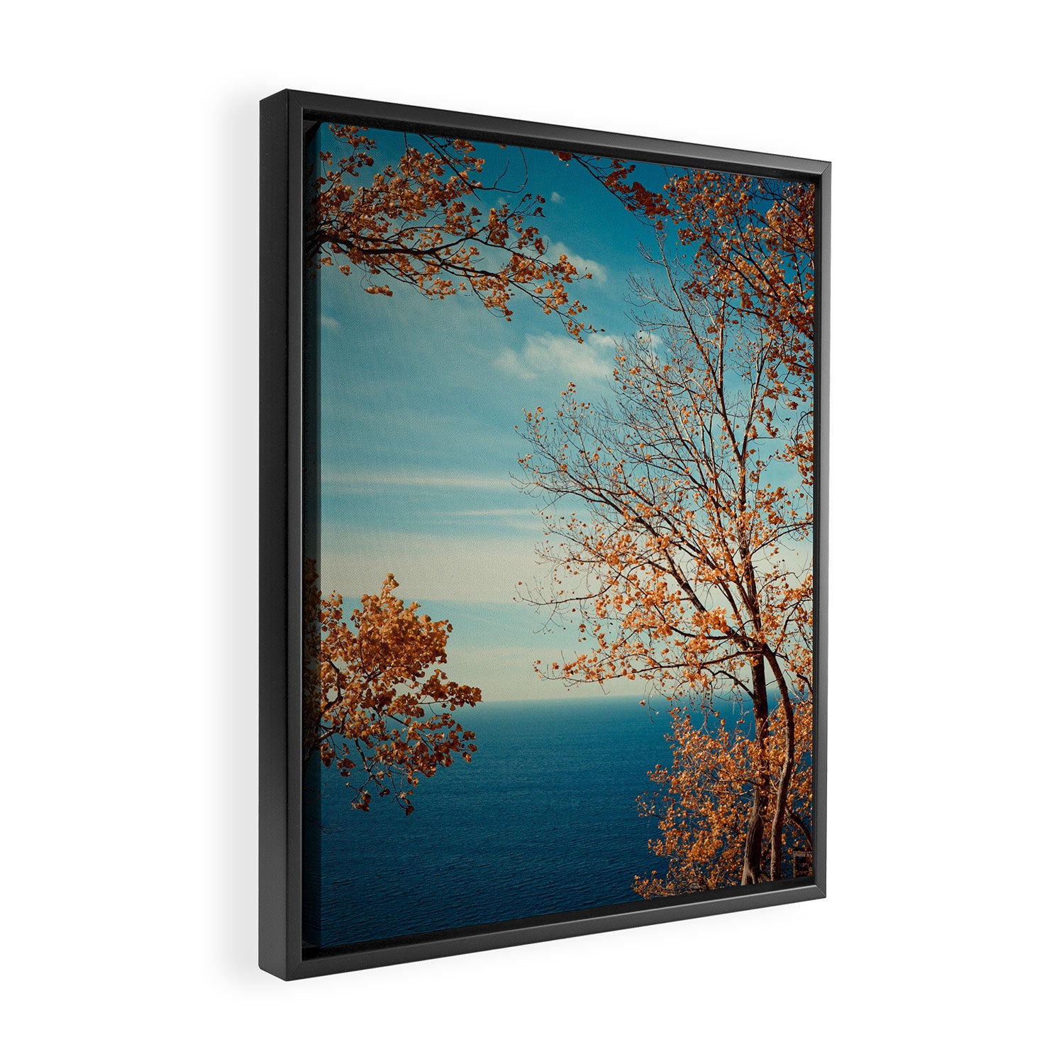 The View From the Top Framed Canvas Print Gallery Image 2