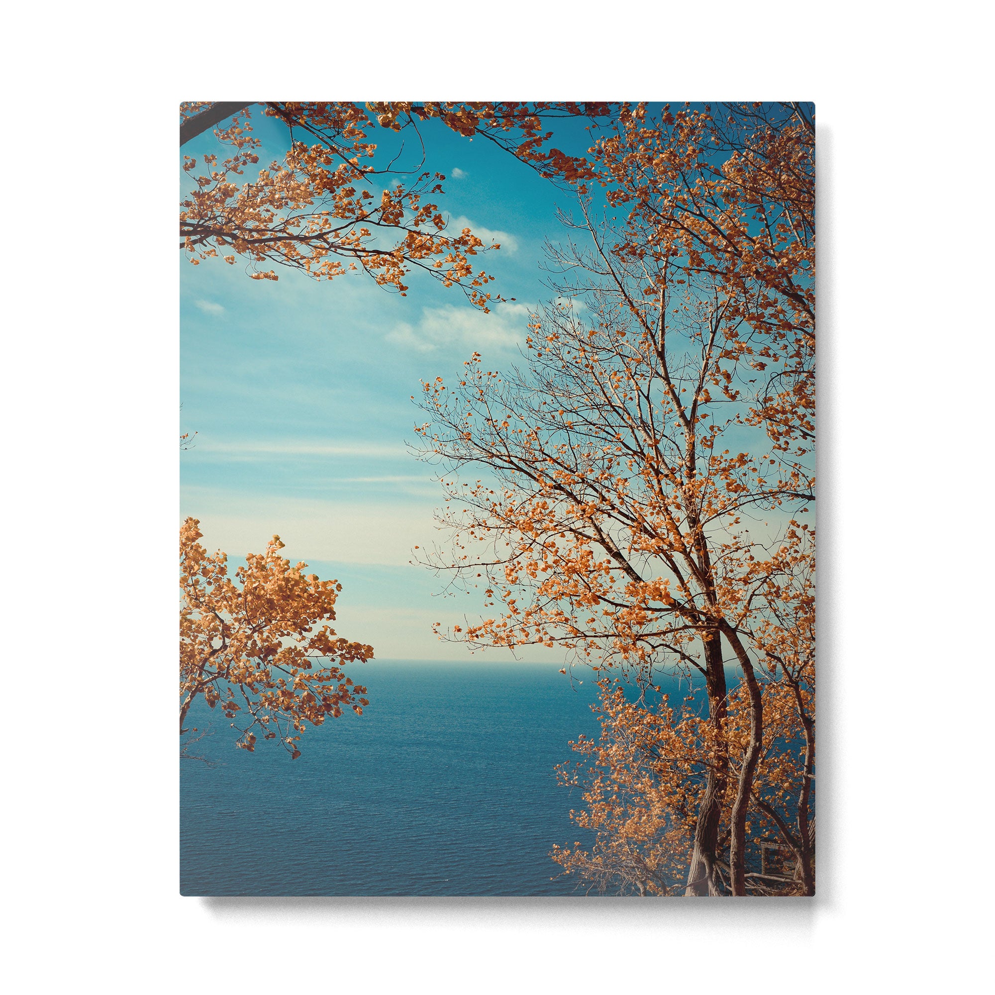 The View From the Top Metal Print Gallery Image 6