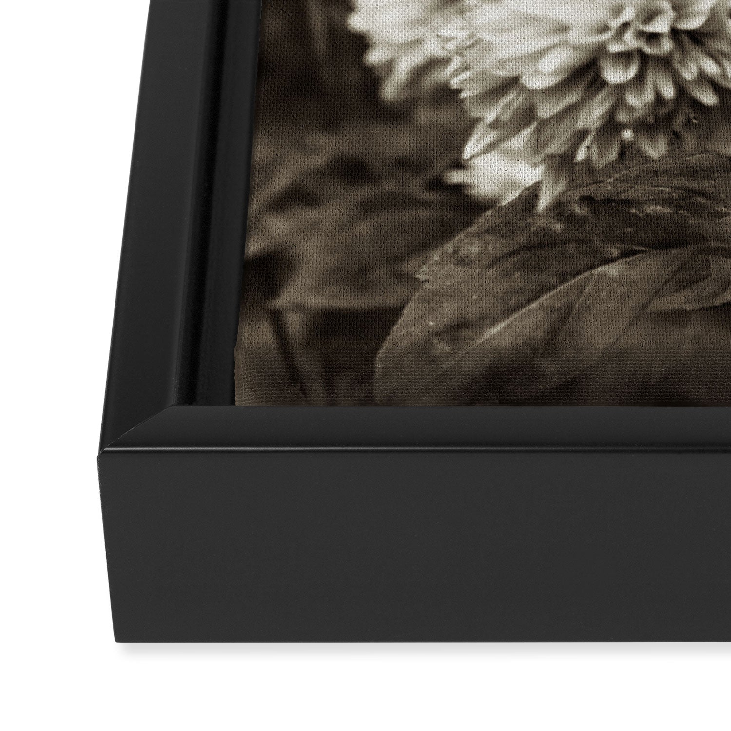 The Way That Light Attaches to a Dream Framed Canvas Print Gallery Image 3