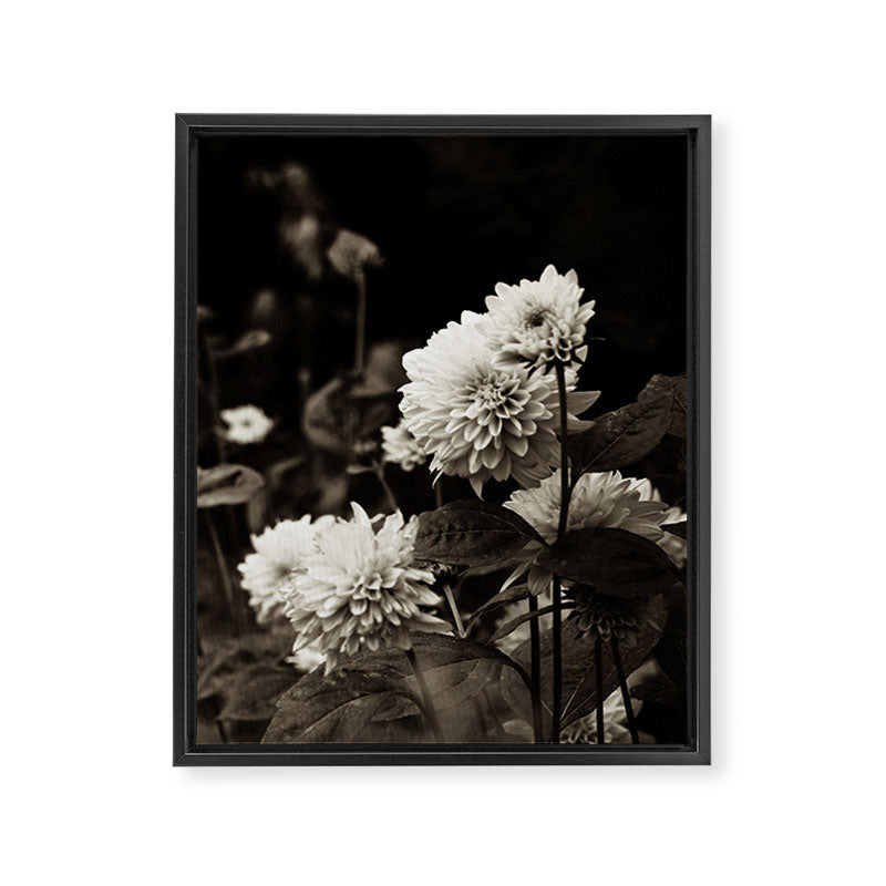The Way That Light Attaches to a Dream Framed Canvas Print Gallery Image 8