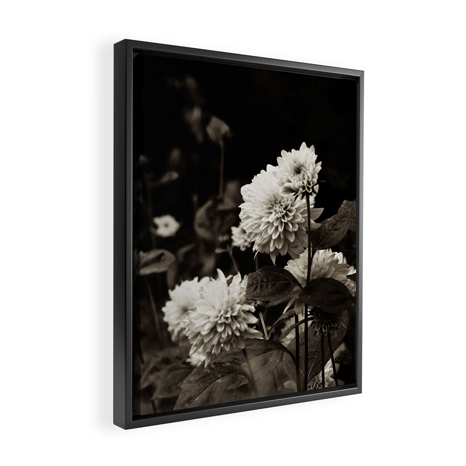 The Way That Light Attaches to a Dream Framed Canvas Print Gallery Image 2