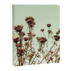 Thistle Canvas Print Gallery Image 6