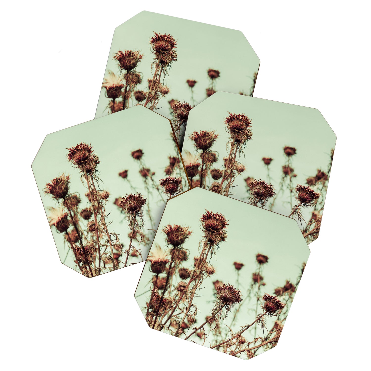 Thistle Coaster Gallery Image 1