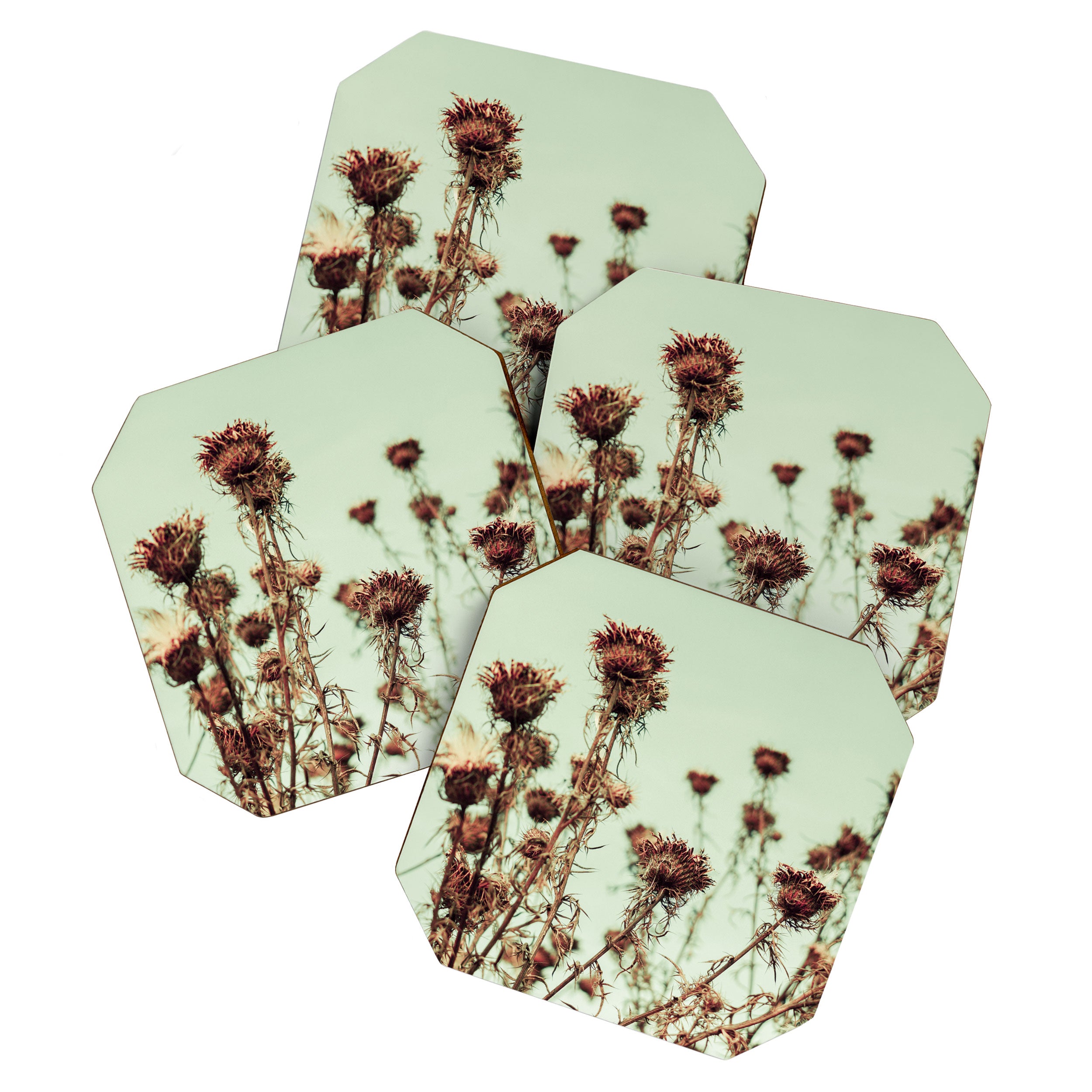Thistle Coaster Gallery Image 1