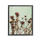 Thistle Framed Canvas Print Gallery Image 6