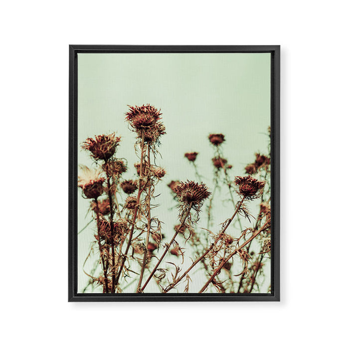 Thistle Framed Canvas Print Gallery Image 1