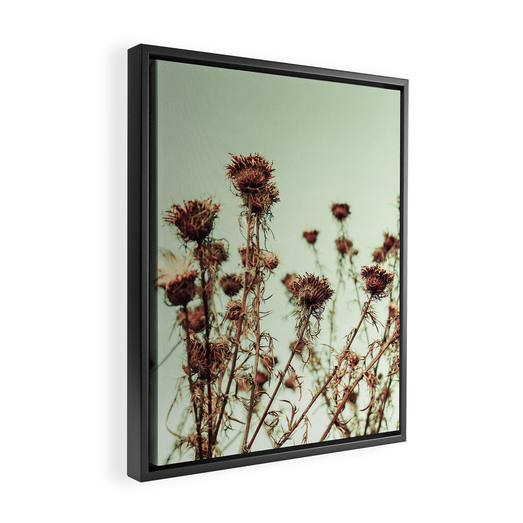 Thistle Framed Canvas Print Gallery Image 2