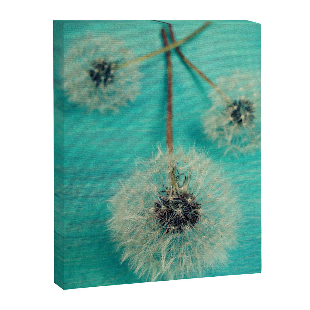 Three Wishes Canvas Print Gallery Image 6