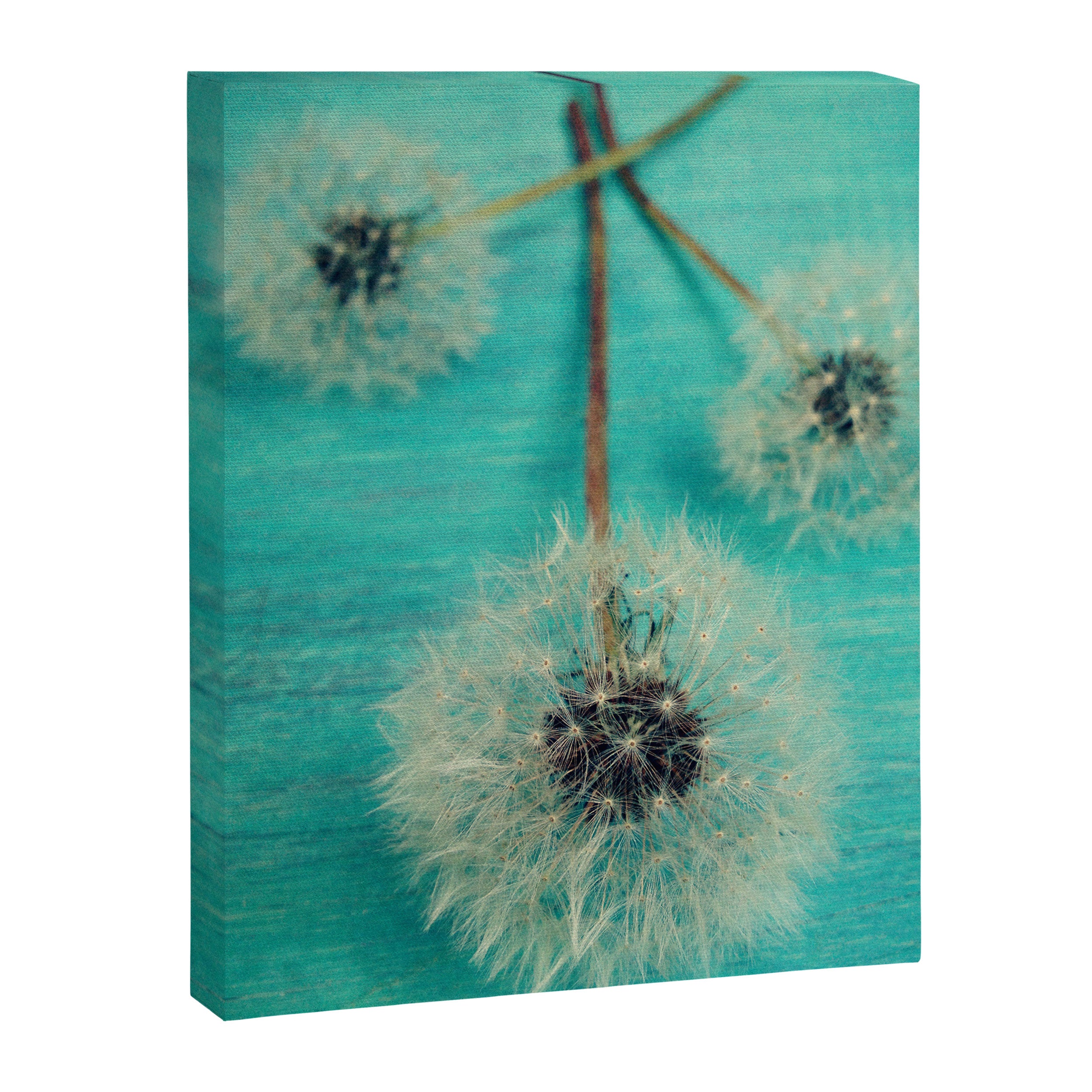 Three Wishes Canvas Print Gallery Image 6