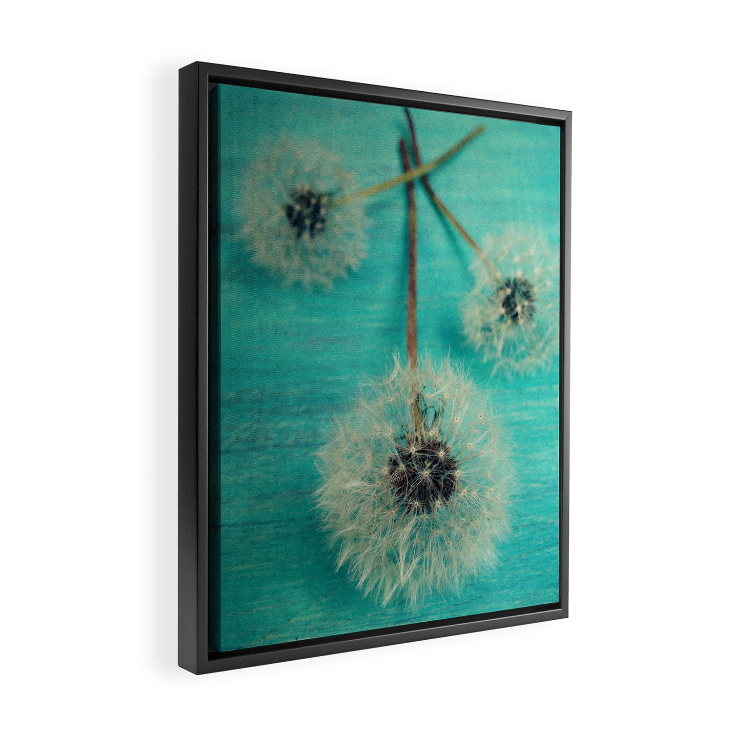 Three Wishes Framed Canvas Print Gallery Image 2