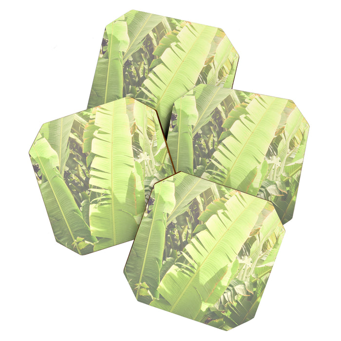 Tropical Banana - Green Coaster Gallery Image 1