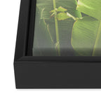 Tropical Banana - Green Framed Canvas Print Gallery Image 3