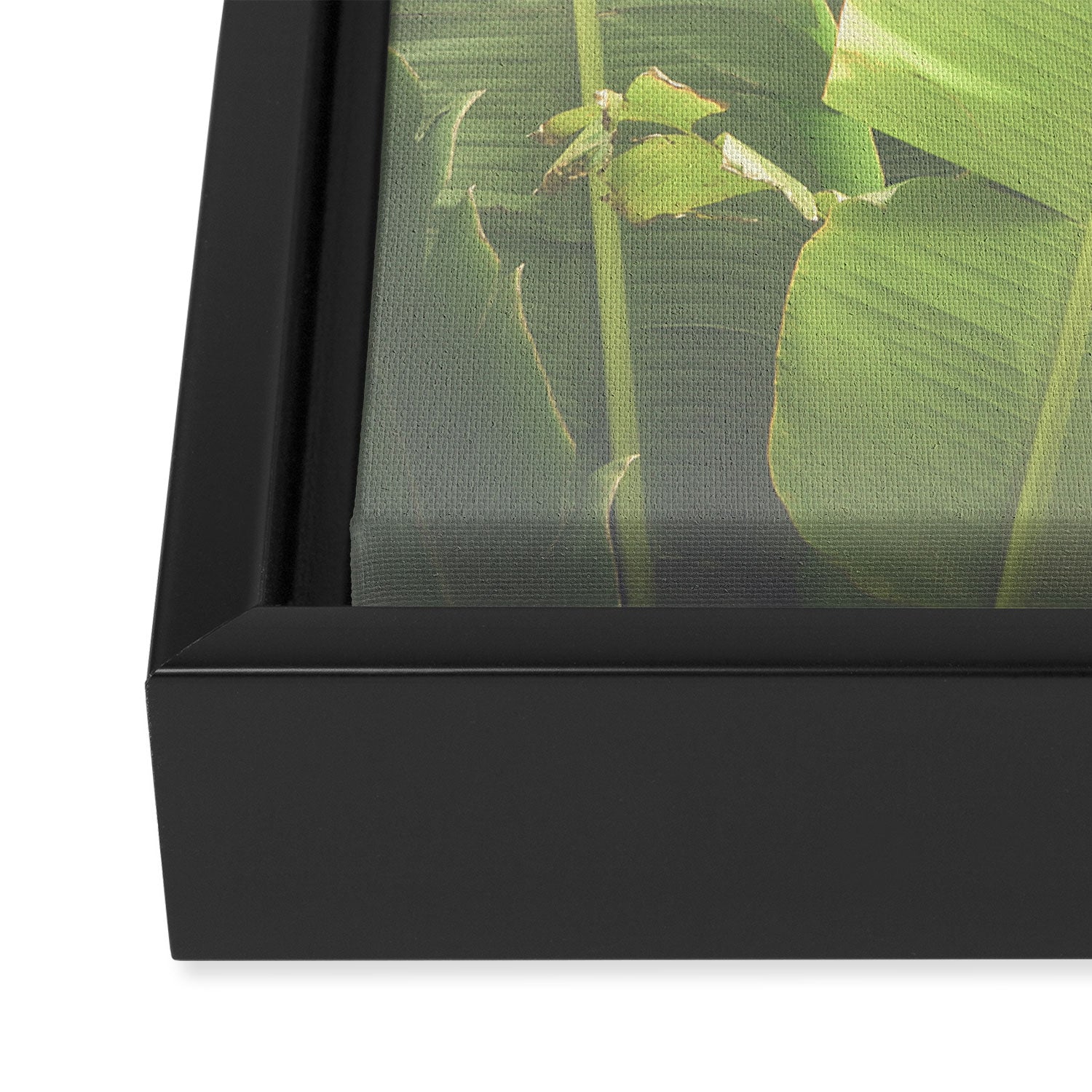 Tropical Banana - Green Framed Canvas Print Gallery Image 3