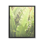 Tropical Banana - Green Framed Canvas Print Gallery Image 6