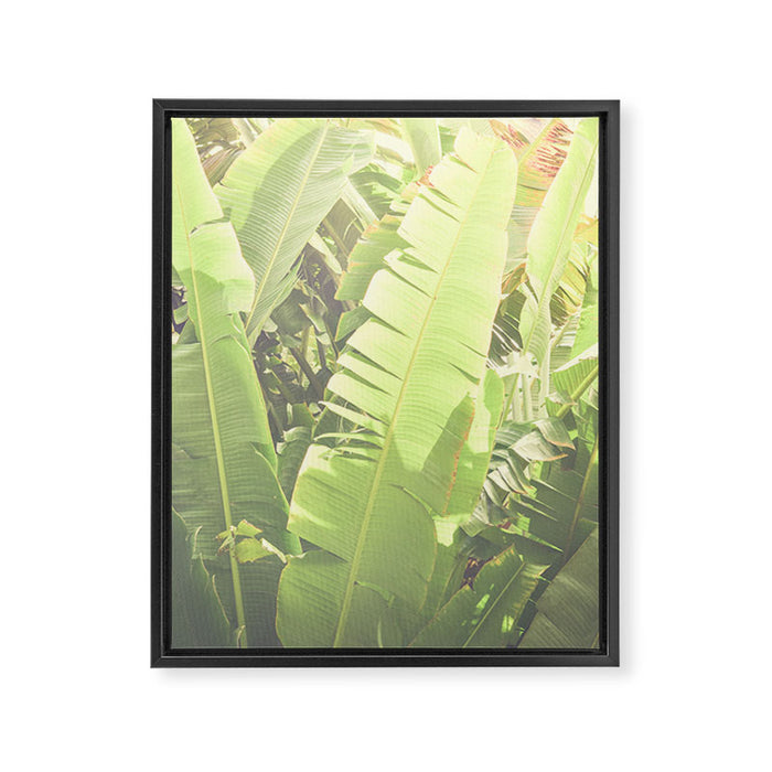 Tropical Banana - Green Framed Canvas Print Gallery Image 1