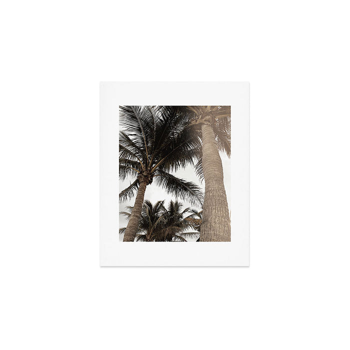 Tropical Breeze and Palm Trees Art Print Gallery Image 1