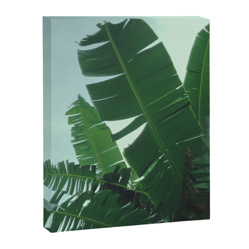 Tropical Evening Canvas Print Gallery Image 6