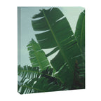 Tropical Evening Canvas Print Gallery Image 6