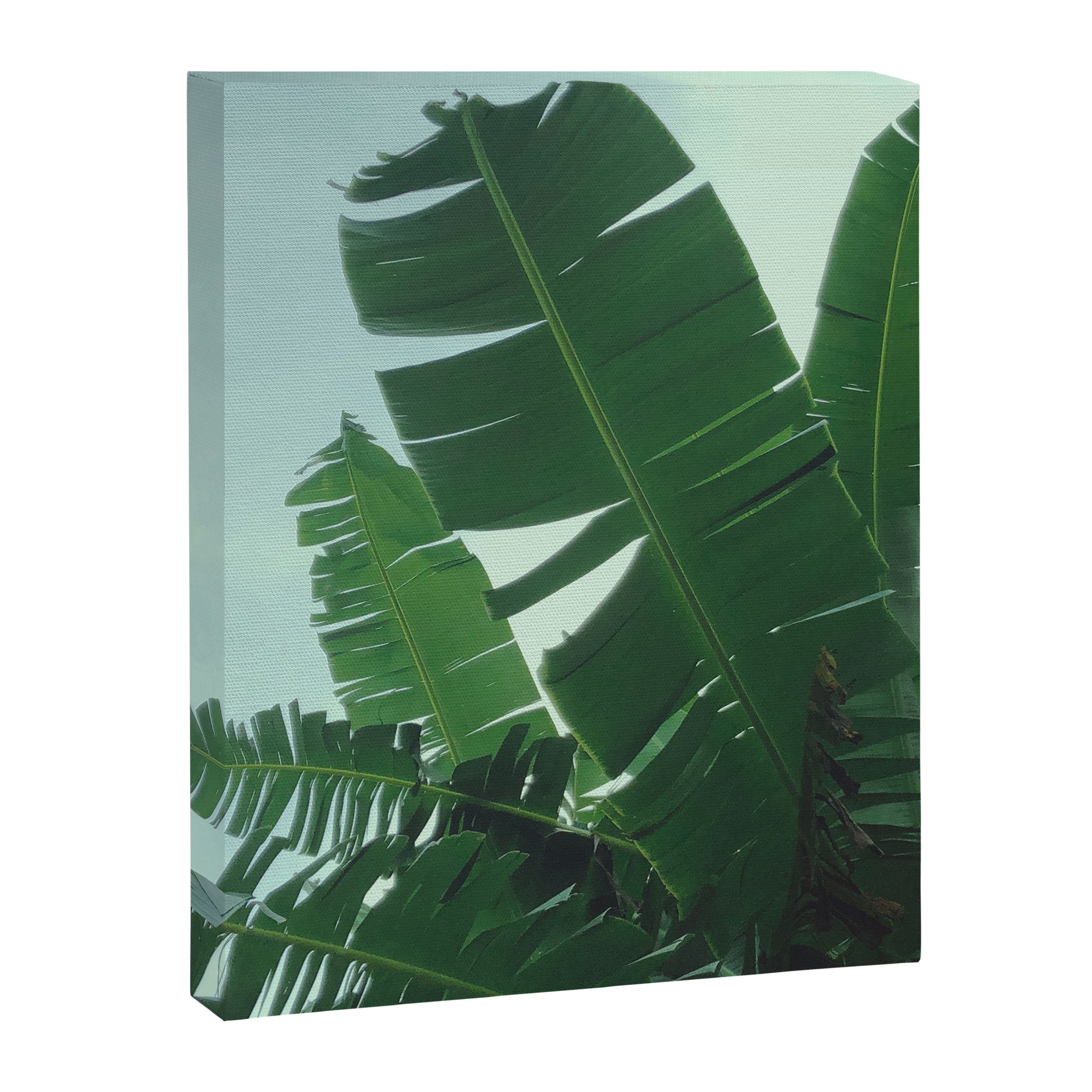 Tropical Evening Canvas Print Gallery Image 6