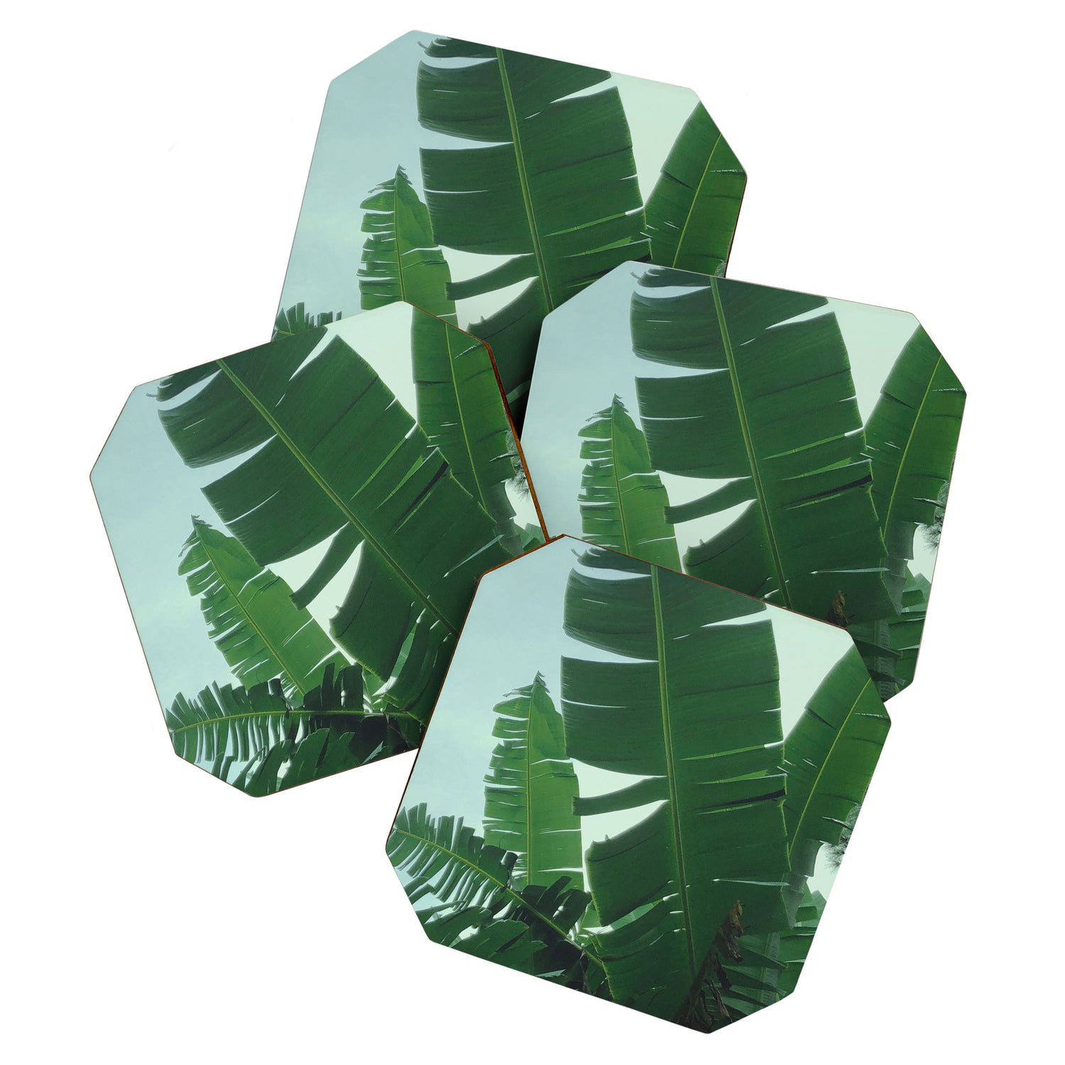 Tropical Evening Coaster Gallery Image 1